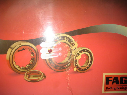 Rolling Bearing
