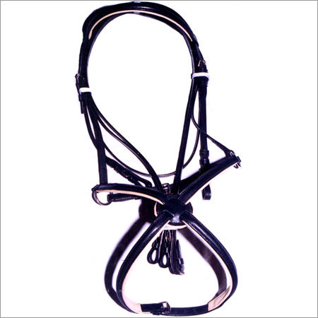 Maxican Bridle
