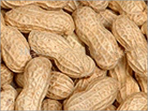 Peanut