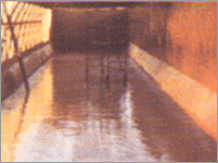 Moisture Cured Polyurethanes