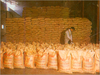 Indian Basmati Rice