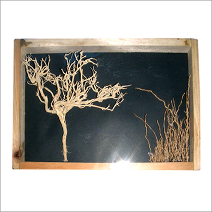 Plant & Dried Flowers - Wood Frame 12x16 Inches Brown | Natural Beauty Aesthetic Appeal Versatile Decor
