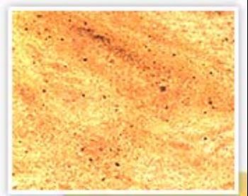Kashmir Gold Granite