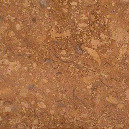 India Traentino Sanstone / Marble