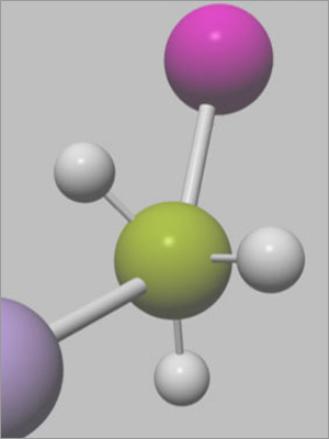 PU Adhesives
