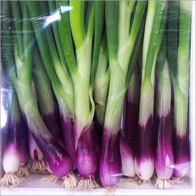 Onion Red Spring Punnet