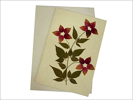 Dry Flower Card