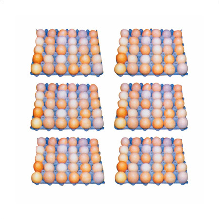 Plastic Egg Setting Tray