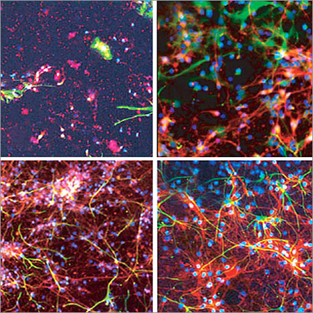 Reactive VS Dyes
