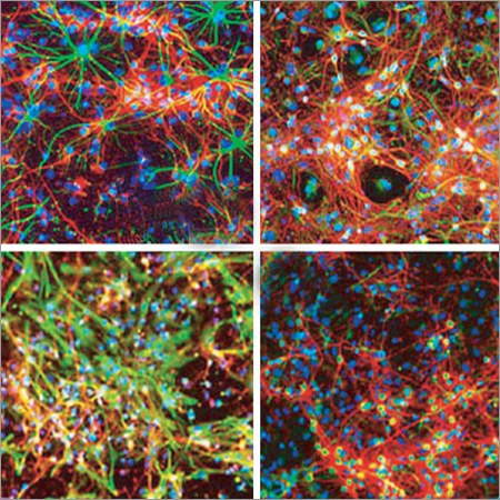 Reactive 'VS' Dyes