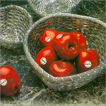 Imported Fruits