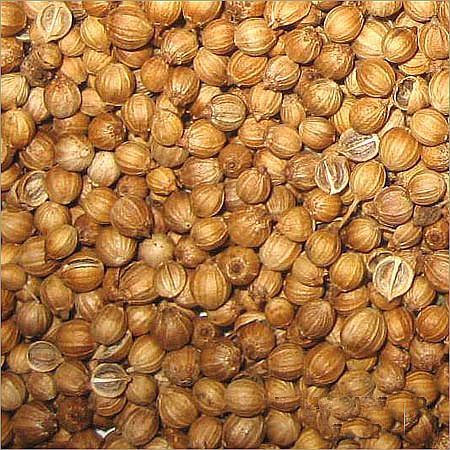 Coriander Seeds