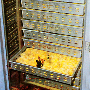 Hatcher Incubator Interior