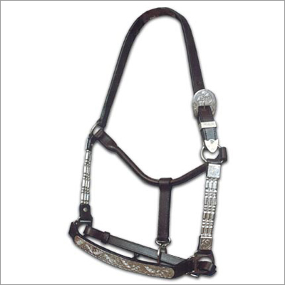 Western Halter with Lead Chain