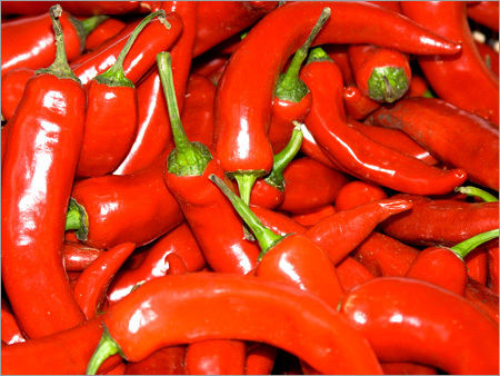 Red Chillies