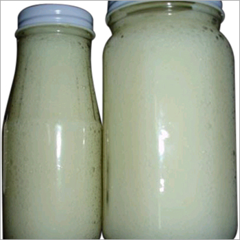 Onion Paste