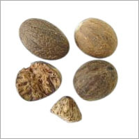 Nutmeg