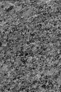 Silver Pearl Granite