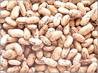 Speckled Kidney Beans