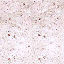 Granite