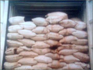 Dry Bulk Cargo Inspection