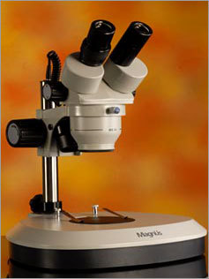 Stereo Microscope