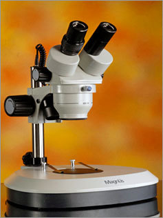 Stereo Zoom Microscope (Model MSZ - BI & MSZ - TR)