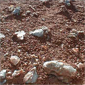 Gypsum Soil