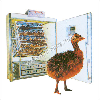 Emu Incubator