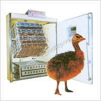 Steel Emu Incubator