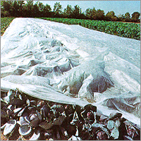 Non-Woven Fabrics for Agro Covers