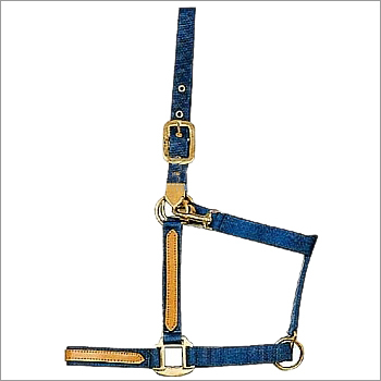PP Head Collars - PP Leather Strap Full Cob Pony Foal Sizes Snap Hook Fasteners
