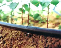 Drip Irrigation System