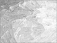 Natural Menthol Crystal