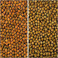 Chick Peas