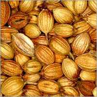 Coriander Seeds
