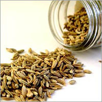 Fennel Seeds