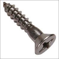 Slotted Screw
