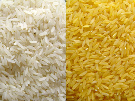 Silver Gold Rice