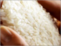 White Basmati Rice