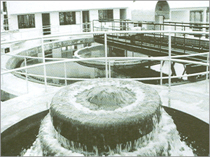 Water & Wastewater Treatment Plant