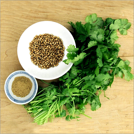 Coriander Leaves & Seeds