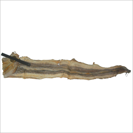Dried Eel Fish Skin (Salted/Unsalted)