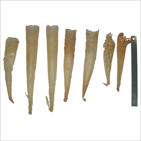 Vietnam Fish Maws/Sound Fish Maws