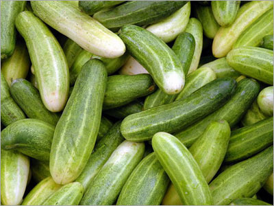 Cucumbers