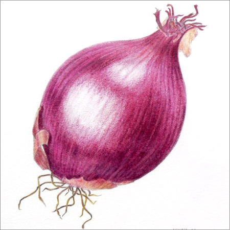Onion