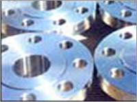 S.S. Flanges