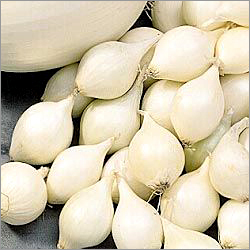 Fresh White Onion Shallot
