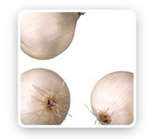 Fresh White Onion