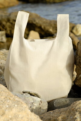Plastic shaped Eco Bags